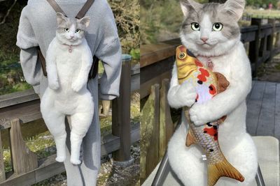 Tas Ransel Kucing yang Sangat Realistis Ini Hadir di Jepang, Bikin Pecinta Hewan Gemas