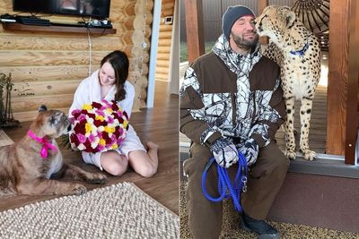 Pasangan Ini Pelihara Puma dan Cheetah di Rumah, Tidak Takut Jadi Makan Siang
