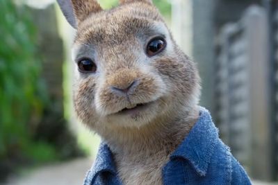Peter Rabbit 2: The Runaway Rilis Trailer Yang Lucu