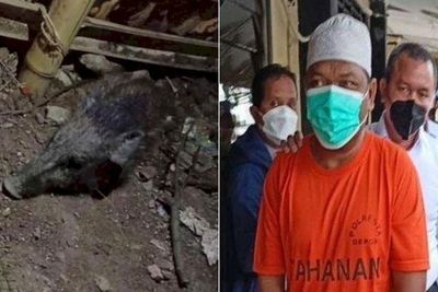 Tampang Ustaz Adam Ibrahim Si Perekayasa Babi Ngepet di Depok, Beli Babi Demi Terkenal