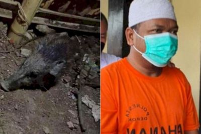 Isu Babi Ngepet di Depok Dipastikan Hoaks, Penyebarnya Hanya Ingin Tenar