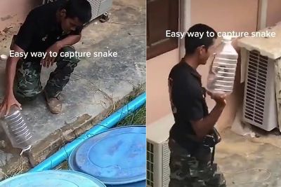 Pria Ini Tunjukkan Cara Mudah Menangkap Ular Pakai Botol Plastik, Netizen: Semudah Itu