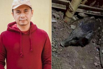 Raditya Dika Tulis Pesan Menohok Soal Hebohnya Isu Babi Ngepet: Zaman Sudah Berubah