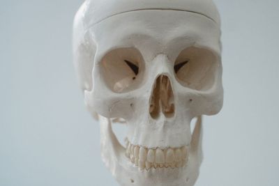 Peneliti Berhasil Temukan Cara Membuat Tulang Rawan dengan Bioprinting 3D