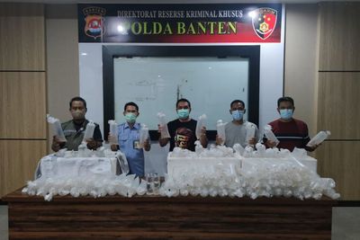 Polda Banten Ciduk Penyelundup 34.992 Bibit Lobster, Uang Negara Rp3,5 M Terselamatkan