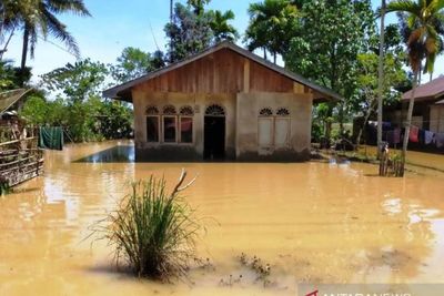 Air Sungai Meluap Akibat Hujan Lebat, Rumah Warga di 17 Desa di Aceh Barat Tergenang
