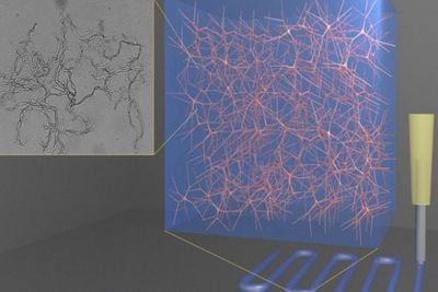 Peneliti Kembangkan Gel Berpencetak 3D!