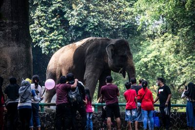 Hari Ini Belasan Ribu Warga Kunjungi Ragunan dan TMII Usai Dibuka Lagi Pasca Libur Lebaran