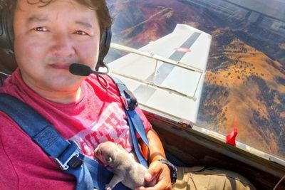 Seorang Pilot Menyelamatkan Anak Anjing Bulldog yang Baru Lahir dari Kebakaran Hutan