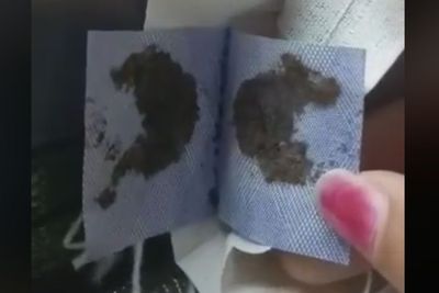 Merinding, Nuruti Semua Ucapan Pacar, Cewek Ini Temukan Tanah Kuburan di Dompetnya