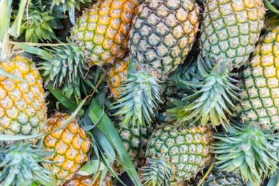 Obat Batuk Alami Paling Ampuh untuk Batuk Kering dan Berdahak