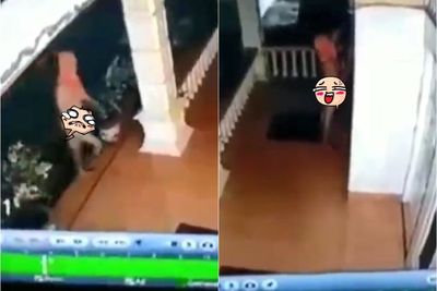 Bikin Geger, Pria Telanjang Diduga Kolor Ijo Mengendap-endap Intip Rumah Warga di Langkat