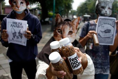 FOTO: Aksi Peduli Kucing Jalanan di Solo