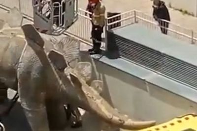 Pria Ini Ditemukan Tewas di Dalam Replika Dinosaurus, Diduga Jatuh saat Mengambil Ponsel