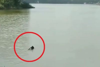 Polisi Ungkap Detik-detik Pesawat Latih Jatuh di Depok, Sempat Berputar 3 Kali