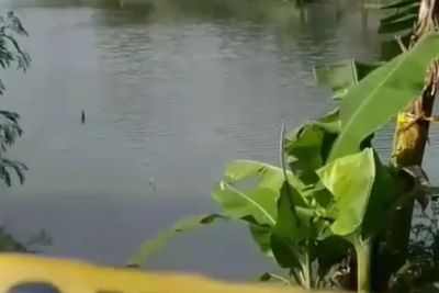 BREAKING NEWS: Pesawat Latih Jatuh di Danau Buperta