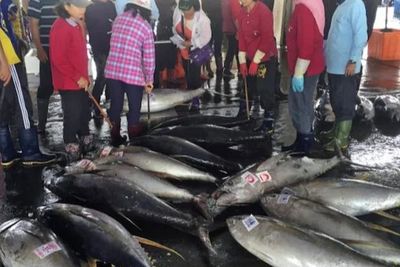 AS Memblokir Makanan Laut dari China karena Memperlakukan Awak Seperti Budak