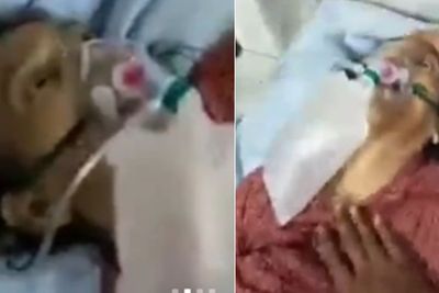Miris, Pasien RS Pirngadi Meninggal Usai Diduga Diberi Tabung Oksigen Kosong: Mak, Bangun