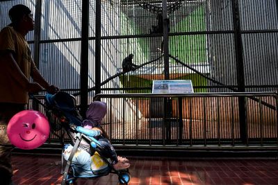 FOTO: Ragunan Masih Diperuntukan Bagi Warga Ber-KTP DKI