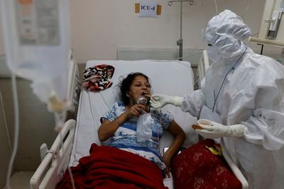 Menkes Pastikan Penyakit Jamur Hitam Belum Terdeteksi di Indonesia