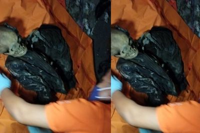 Geger Penemuan Kerangka Manusia Tanpa Identitas di Sebuah Rumah Kosong di Simalungun