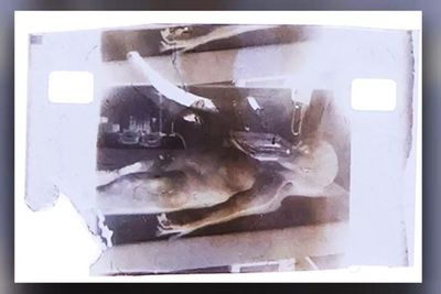 1 Frame dari Film Otopsi Alien di Tahun 1947 Dilelang Rp14 Miliar Sebagai NFT