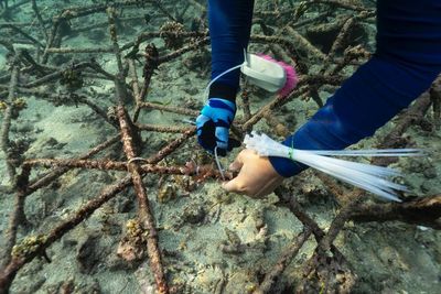 FOTO: Mendorong Pertumbuhan Ekosistem Karang di Bali
