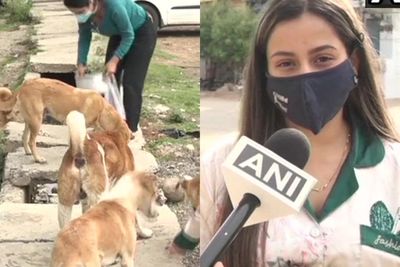 Salut, Dua Gadis Ini Memberi Makan 25 Anjing Liar Setiap Hari di Tengah Pandemi Covid-19