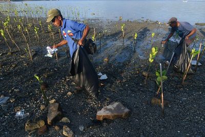 FOTO: Aksi Gotong Royong Bersihkan Pantai Dupa Indah