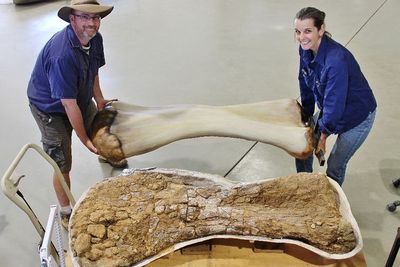 Ilmuwan Temukan Spesies Dinosaurus Baru di Australia, Pernah Hidup 96 Juta Tahun Lalu