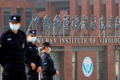 Laporan Baru Ini Ungkapkan Asal Usul COVID-19 dari Laboratorium Bocor di China Masuk Akal