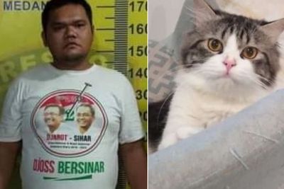 Ini Dia Tampang Jagal Kucing di Medan, Sempat Kabur ke Luar Kota, Kini Menunggu Disidang