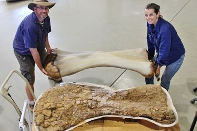 Peneliti Berhasil Temukan Spesies Dinosaurus Baru di Australia