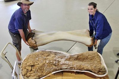 FOTO: Penemuan Spesies Baru Dinosaurus Terbesar di Australia