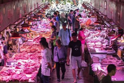 Penelitian: Hewan Liar yang Dijual di Pasar Wuhan Diyakini Tidak Membawa Virus Corona