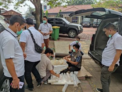 Banyak Kasus Penyelundupan Benih Lobster di Indonesia, Dosen UGM Lakukan Penelitian