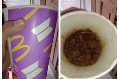 Viral Gelas BTS Meal Dipakai Ayah Buat Cari Cacing, Cewek Ini Mewek