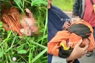 Memilukan Bayi Laki-laki Dibuang ke Semak-semak Pinggir Jalan di Kalteng, Warga Bawa ke RS
