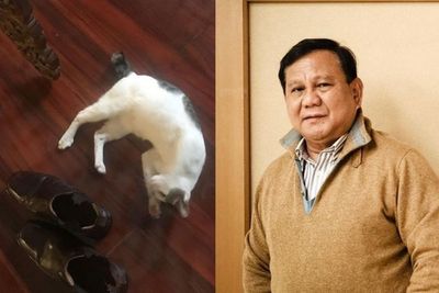 Prabowo Curhat Kucingnya Kencingi Sepatu Para Tamu: Kurang Ajar