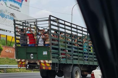 Viral, Pekerja Asing di Malaysia yang Terinfeksi Covid-19 Dibawa Pakai Truk Seperti Sapi
