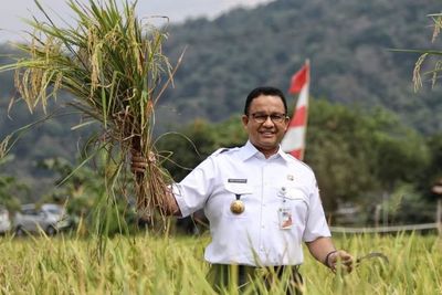 Politikus PDIP Sentil Anies: Corona di DKI Lagi Tinggi Malah Panen Padi di Sumedang