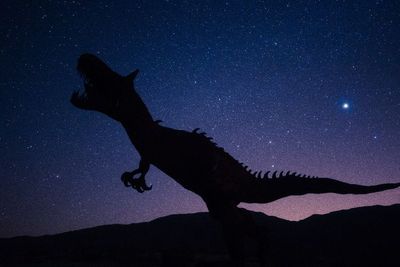 Peneliti Ungkapkan 2,5 Miliar T-rex Pernah Hidup di Bumi