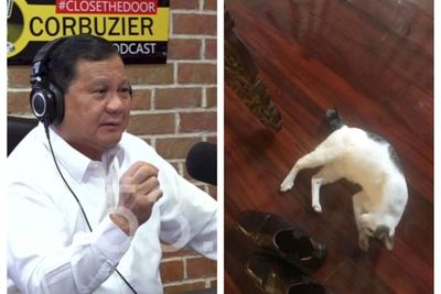 Kisah Bobby, Kucing Milik Prabowo yang Kurang Ajar dan Belagu