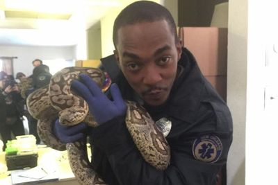 Anthony Mackie Mengaku Tak Ingin Lama Perankan Captain America