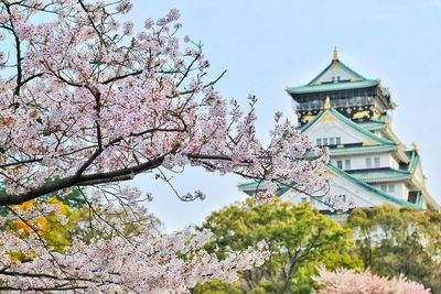Mulai Juli Mendatang, Jepang akan Pakai Paspor Vaksin