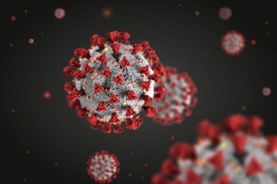 10 Nama Varian Baru Virus Corona yang Ditetapkan WHO
