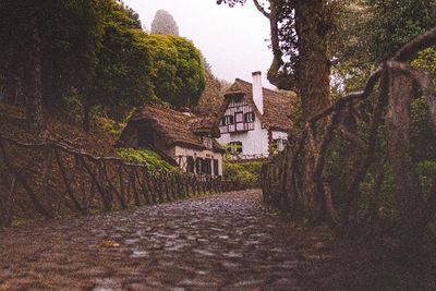 Kampanye Pariwisata Terbaru Memikat Para Turis Pergi ke Madeira