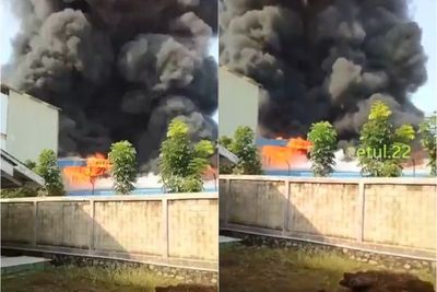 Pabrik Olahan Daging di Purwakarta Jabar Terbakar, Belasan Mobil Damkar Diturunkan
