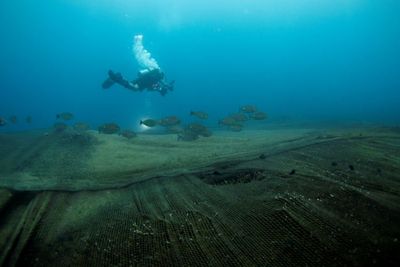 FOTO: Pelepasan Jaring Ikan Terbengkalai di Ko Losin, Thailand
