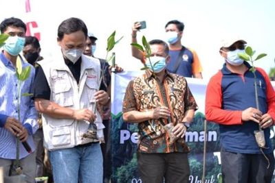 Jaga Kelestarian Lingkungan KIIC Tanam 1.000 Pohon Bakau di Pantai Muarabaru, Karawang